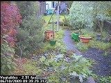 Vegetable Garden