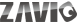 Zavio Cameras