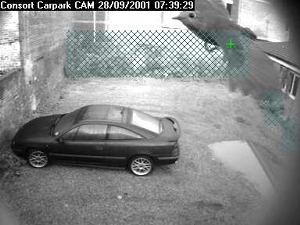Bird crossing CCTV Camera in a car park at Consort Court