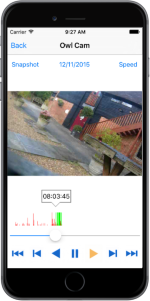 iCatcher Pro iPhone/iPod Touch CCTV Playback